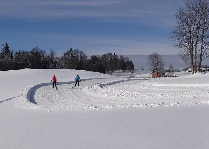 Hotel Restaurant Aux Touristes Habère-Lullin foto