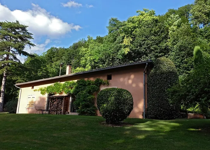 La Garenne Bed & Breakfast Fareins photo