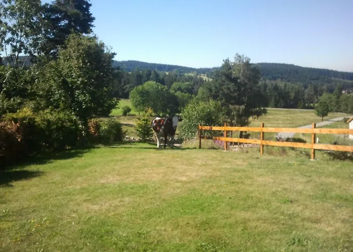 Ressourcez Vous En Pleine Nature! Saint-Régis-du-Coinの写真