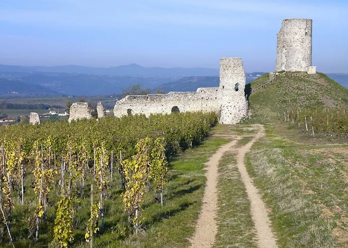 Apartament The Troll Mercurol-Veaunes zdjęcie