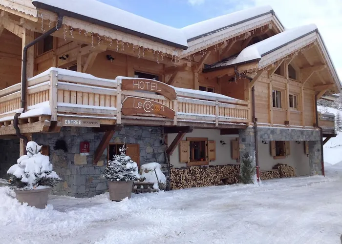 Les Chalets Du Cocoon Ξενοδοχείο La Plagne φωτογραφία