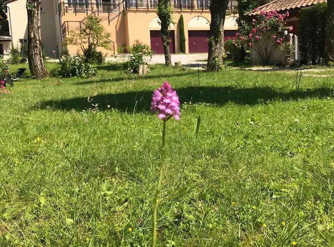 foto di Le Castel Fleuri Hotel Saint-Jean-en-Royans